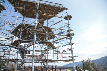 Muscle Monster Fujikyu - KristallTurm 18-pole high ropes course in Sagamihara, Japan